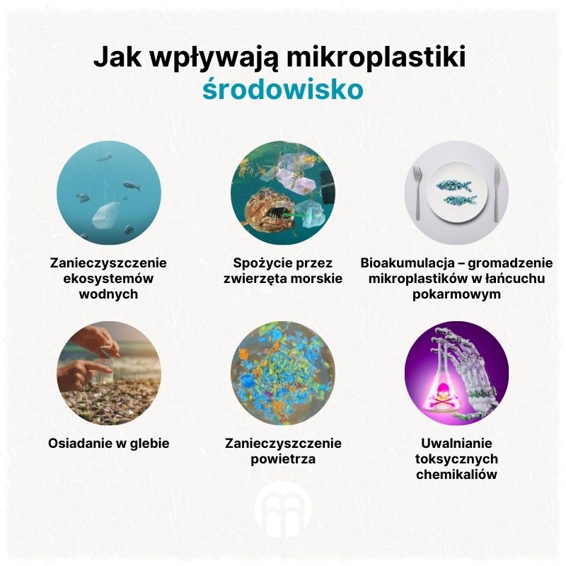 (Polština) Jak mikroplasty ovlivňují životní prostředí